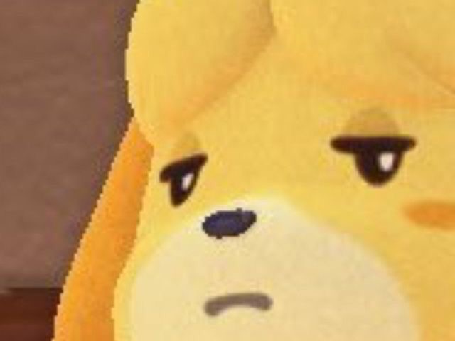 IS