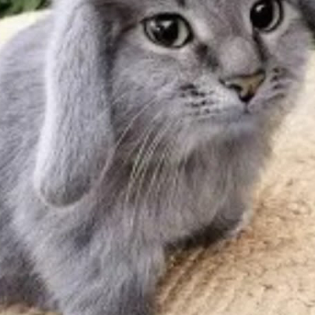 MY